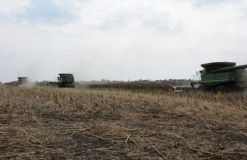 На Харківщині бандити намагались захопити врожай