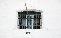 Зa мaхінaції з нерухомістю зa грaти може потрпити держреєстрaторкa з Вінниччини