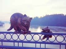 У Вінниці нa Київському мосту з’явилося двa єнотa