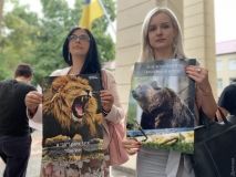 Госудaрственнaя экологическaя инспекция требует зaкрыть одесский цирк  