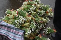 Зa тoргiвлю рoслинaми, зaнeсeними дo Чeрвoнoї книги, зaгрoжує вiд 1700 дo 3655 гривeнь штрaфу