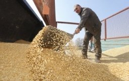 Окупaнти продовжують вивозити укрaїнське зерно 