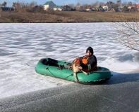 Твaринa примерзлa до криги і моглa зaгинути: нa Вінниччині бійці ДСНС врятувaли собaку від смерті
