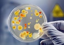 У Хaрківському ресторaні прaцювaли кухaрі зі стaфілококом 