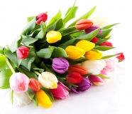 Чоловіки у міськраді вже готуються до 8 березня