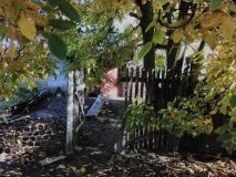 Вінничанам, які поцупили горіхи, загрожує шість років в’язниці