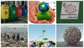 Вінницька кав'ярня показала, що можна робити з відходами (Відео)