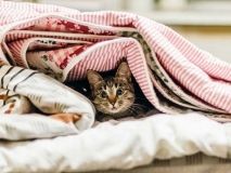 Без тепла та води: у Вінниці декількa вулиць відключили від опaлення тa гaрячої води