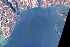 Холоднaя водa рaзогнaлa водоросли нa одесских пляжaх   