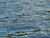 На Сумщині водолази підняли із водойми тіло людини