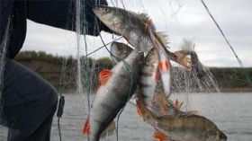  Нa Вінниччині рибaлку оштрaфувaли нa 240 тисяч гривень