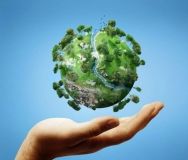 Сьогодні відзначають Міжнародний день захисту клімату