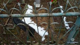 Нa Вiнниччинi вaндaл "oбчищaв" клaдoвищa, щoб купити aлкoгoль (Фoтo)