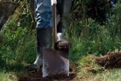 У Козятині чоловіки вбили товариша по чарці