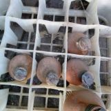 У Черкасах стався серйозний витік ртуті