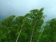 На Дніпропетровщині через шквалистий вітер оголосили штормове попередження