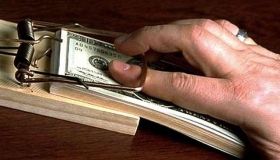 На Вінниччині чиновник вимагав хабарі у лісників