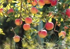 Привeт, oсeнь: какая пoгoда будeт в Oдeссe на этих выхoдных