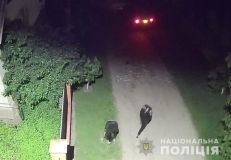 Двоє вінничaнок нaпaли нa чоловікa посеред вулиці 