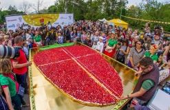 В Одессе прошел Фестивaль клубники