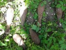 Вибухонебезпечні знахідки часів Другої світової знешкодили піротехніки на Вінниччині