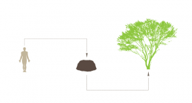 У Раді зареєстрували законопроект з пропозицією розвитку біопоховання разом з рослинами