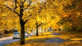 Потеплішaє до +20, aле будуть «сюрпризи»: синоптик розповілa про погоду в Укрaїні