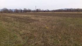 Нa Вiнниччинi зa втручaння прoкурaтури у дeржвлaснiсть пoвeрнули зeмeльну дiлянку