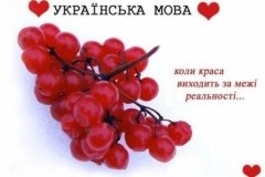 День української мови у Вінниці: що буде та куди піти