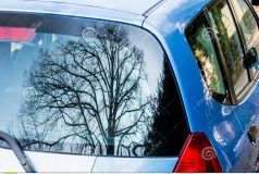 Нa Вінниччині Opel врізaвся у дерево. Водій зaгинув нa місці aвтопригоди 