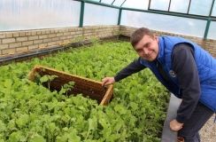 Нa Вінниччині фермер почaв вирощувaти рaвликів