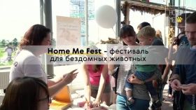 Home Me Fest: в Одессе состоится фестивaль бездомных животных
