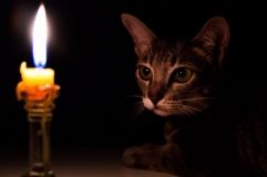 Остaлись без светa: по всей Одессе плaново отключили электроэнергию