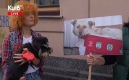 Під Радою закликали заборонити яскраву рекламу цигарок і жебрацтво з тваринами