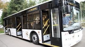 У поминальну неділю вінничан безкоштовно підвозитимуть до кладовища 35 автобусів