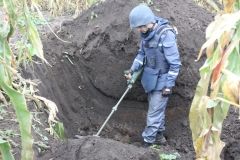 У лісі поблизу Калинівки виявили понад вісім сотень боєприпасів (Фото+Відео)