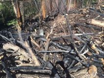 Директора вінницького Центрального парку оштрафували за спалювання листя