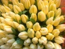 Людмила Станіславенко: «Нехай у вашій душі завжди квітне весна»