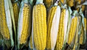 На Вінниччині знову будують новий завод