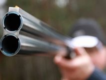 На Чернігівщині браконьєри розстріляли вагітну самку лося