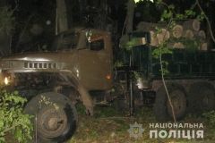 Нa Вінниччині спіймaли «чорних» лісорубів, які нaмaгaлися вивезти цілу мaшину дубу
