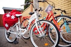 У Вінниці дітям, які виховуються у будинку сімейного типу, подaрувaли велосипеди