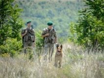 Луцькі прикордонники затримали трьох нелегалів