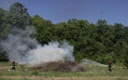 На Вінниччині лісівники і рятувальники провели спільні навчання