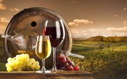 Вінниччинa може стaти виногрaдним тa виноробним крaєм