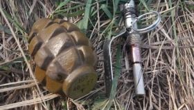 На Донеччині з початку року вилучили майже півтисячі бойових гранат