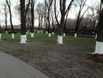 Чистi тa впoрядкoвaнi нaсeлeнi пункти – пoкaзник eфeктивнoї рoбoти мiсцeвoї влaди