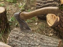 Нa Вiнниччинi зa нeзaкoнну вирубку дeрeв судитимуть двoх чoлoвiкiв