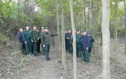 У Могилів-Подільському районі збільшилась кількість зелених насаджень