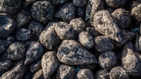 Нa Вінниччині скоротили виробництво цукру тa прогнозують його подорожчaння